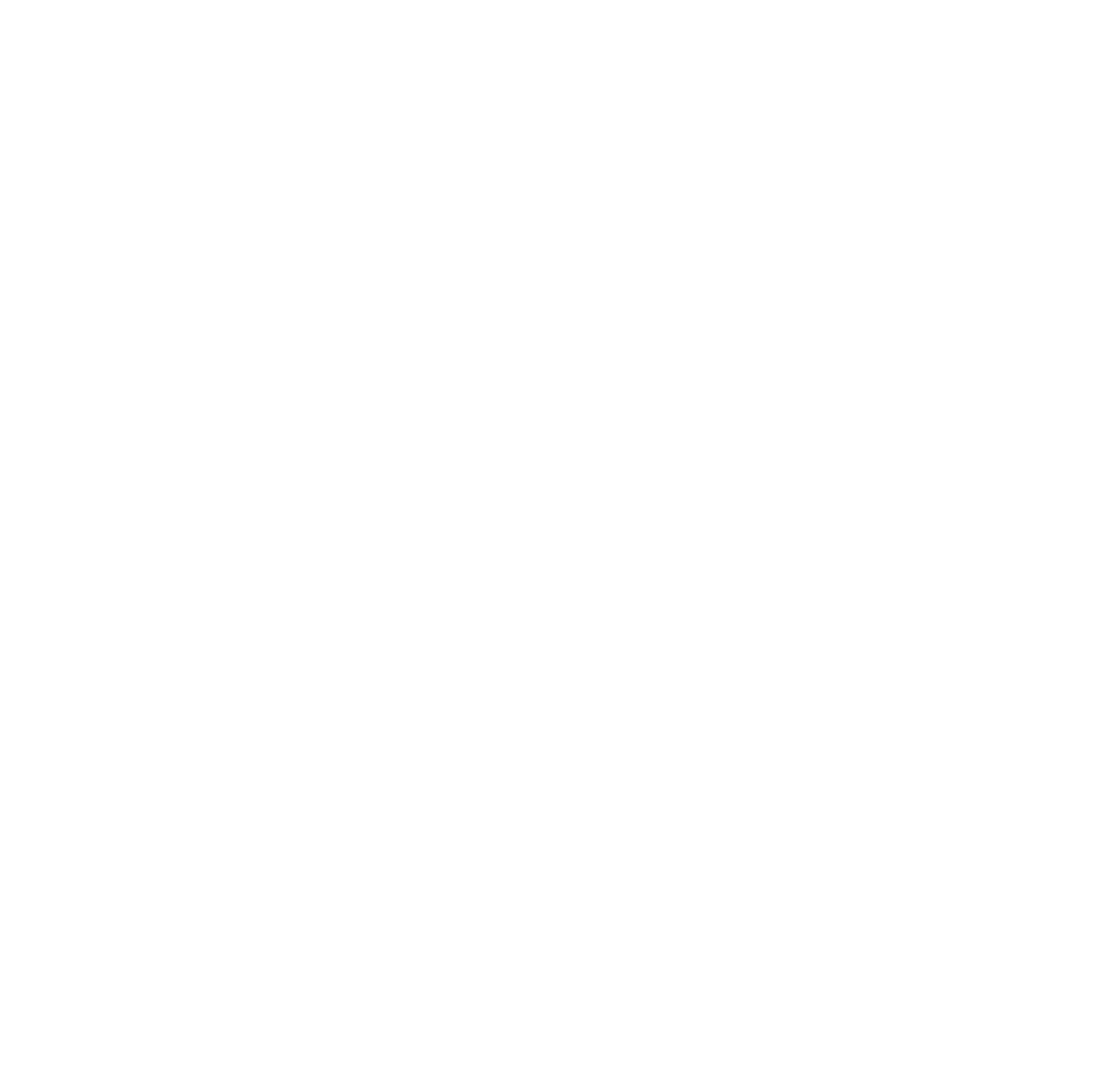 Team Slayen logo